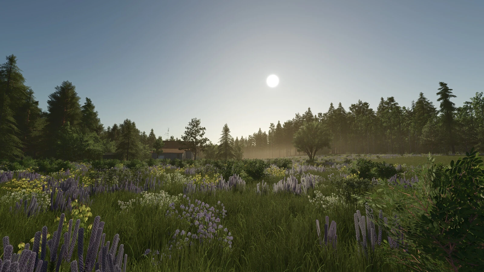 Grenland 1.0