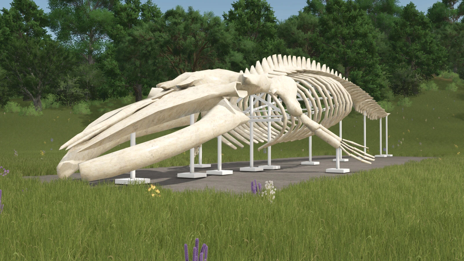 Whale Skeleton Sculpture 1.0