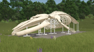 Mod Image