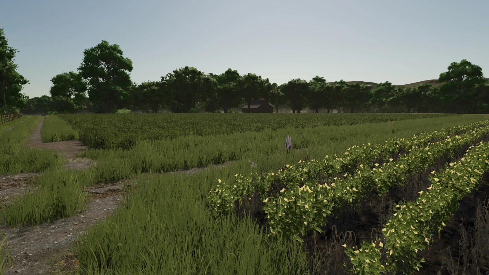Repopulate Fields 1.0