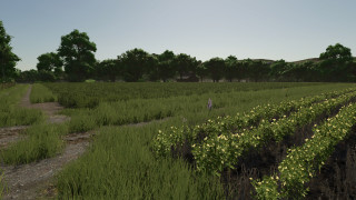 Mod Image