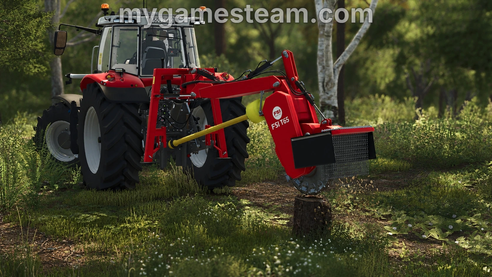 FSI T65 1.0.0.0