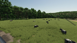 Mod Image