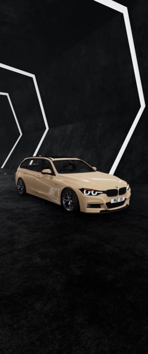 BMW Série 3 F31