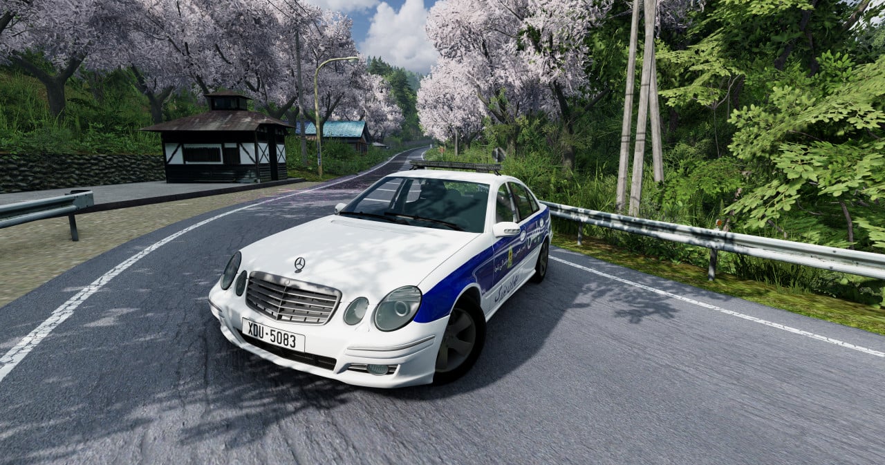 Mercedes-Benz W211 Iranian Police