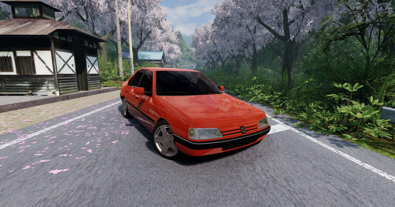 Peugeot RD + Peugeot 405 Pack