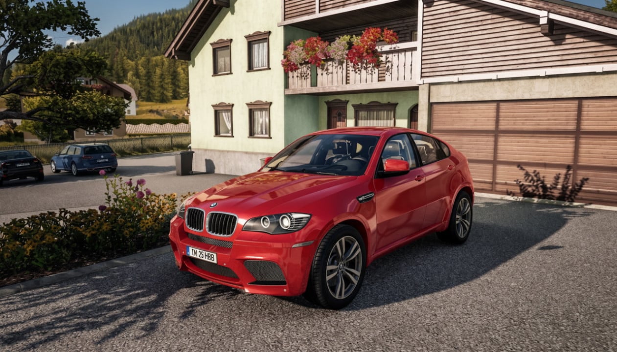 BMW X6 M 2010