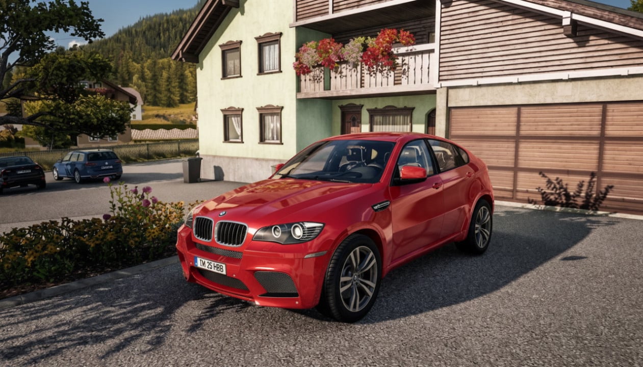 BMW X6 M 2010