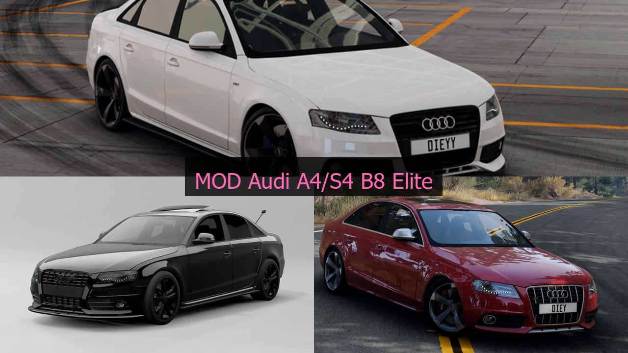 MOD Audi A4/S4 B8 Elite