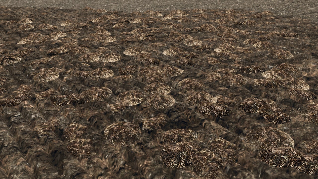 Manure Clumps
