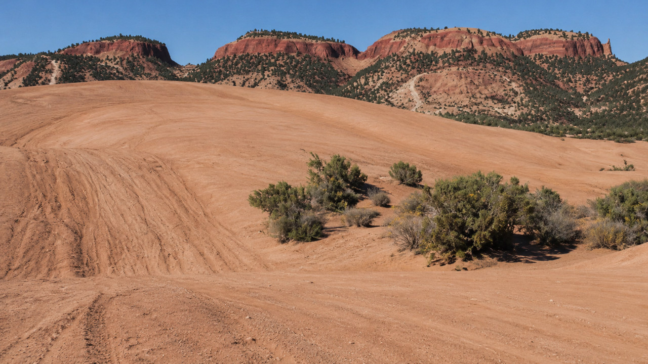Coral Pink Sand Dunes
