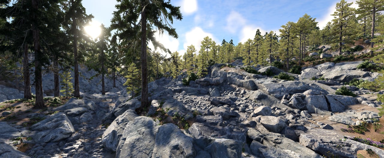 Rubicon Trail