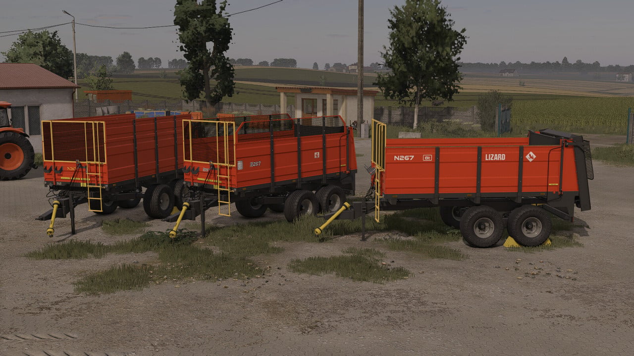 Lizard N267