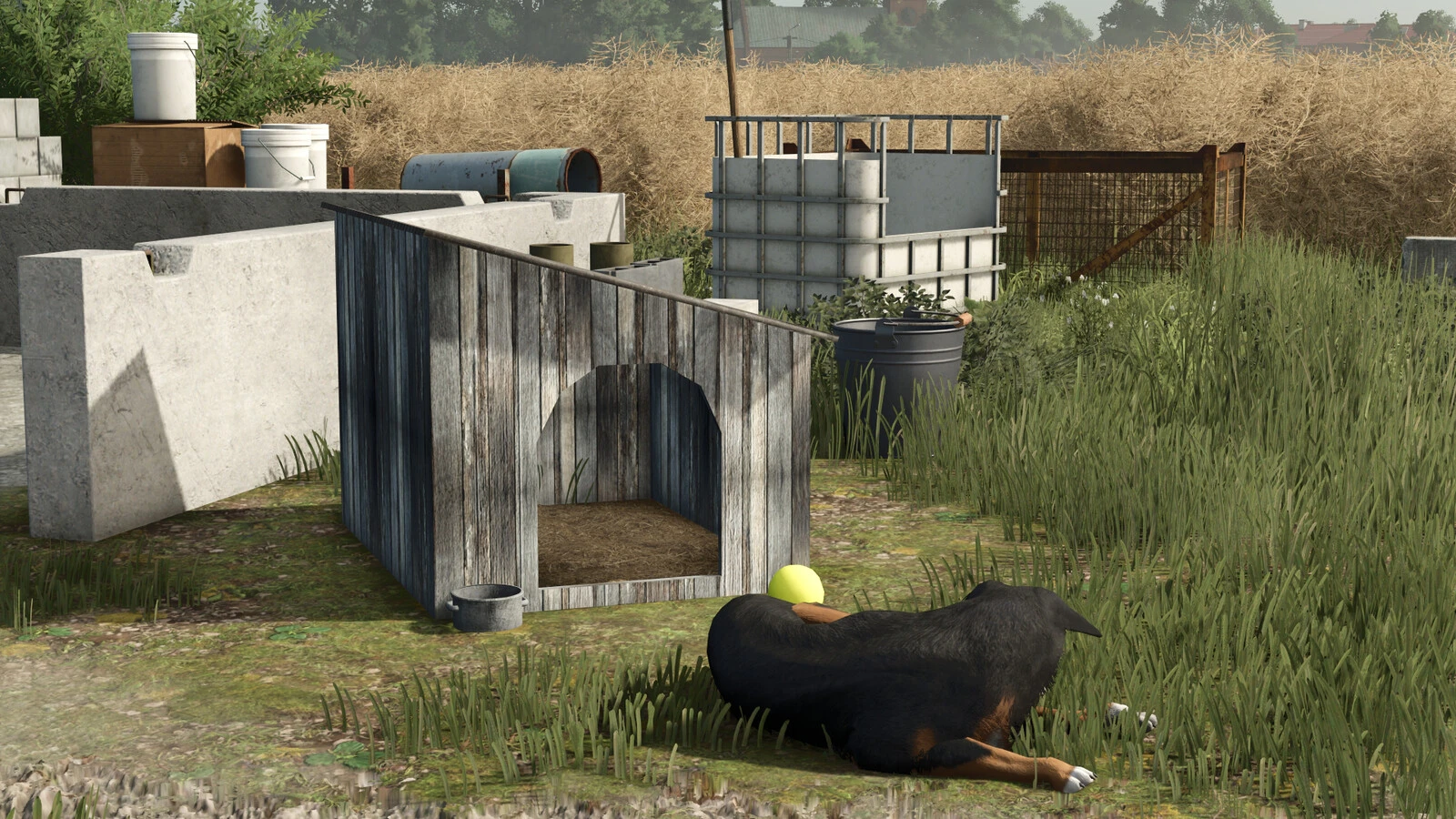 Pack Of Old Dog Houses 1.0