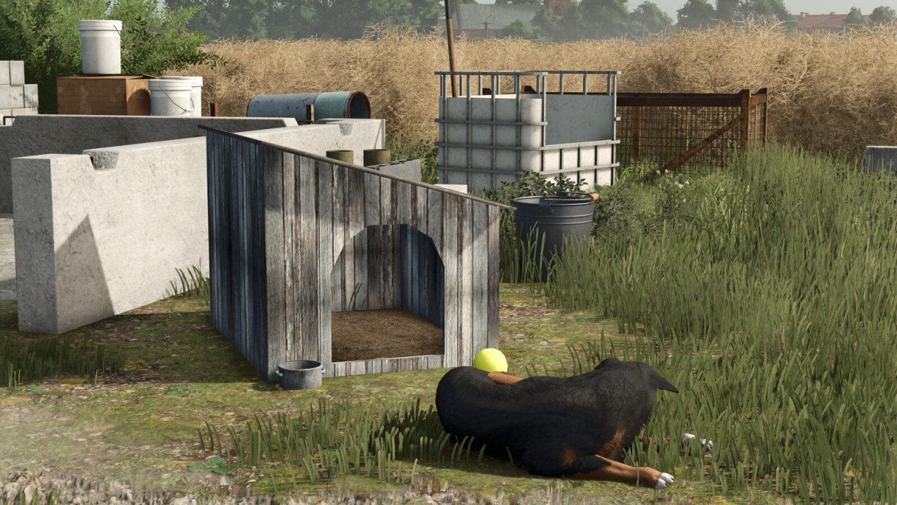Pack Of Old Dog Houses