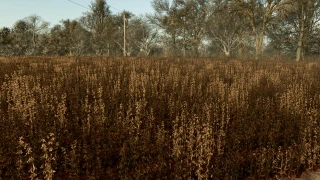 Improved Soybean Textures With Destructible Stubble (Prefab*) 1.1.0 thumbnail 5