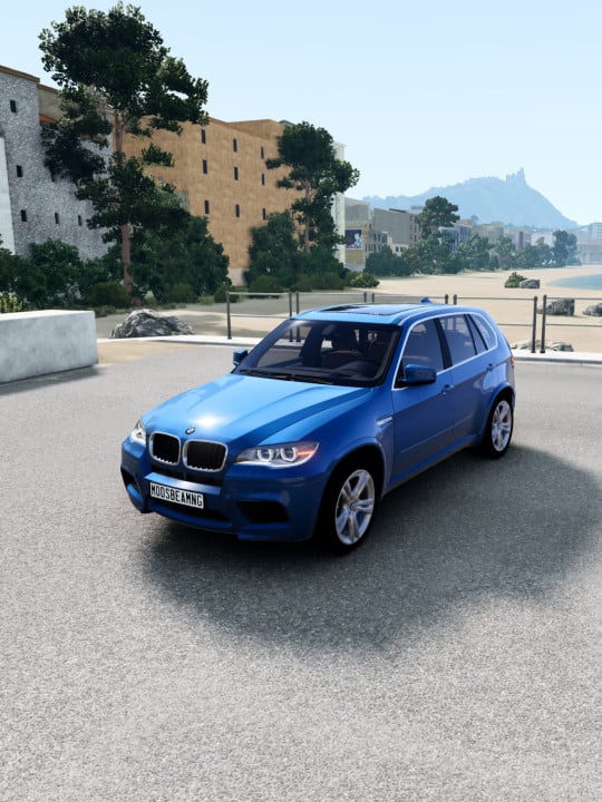 BMW X5M/X6M