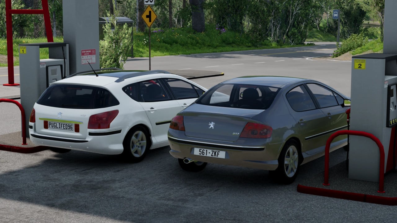 peugeot 407