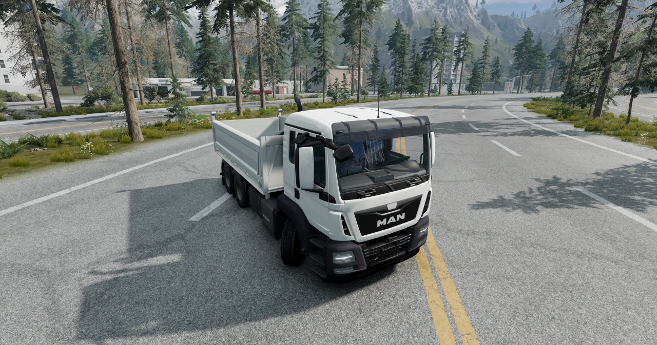 MAN TGS Euro 6