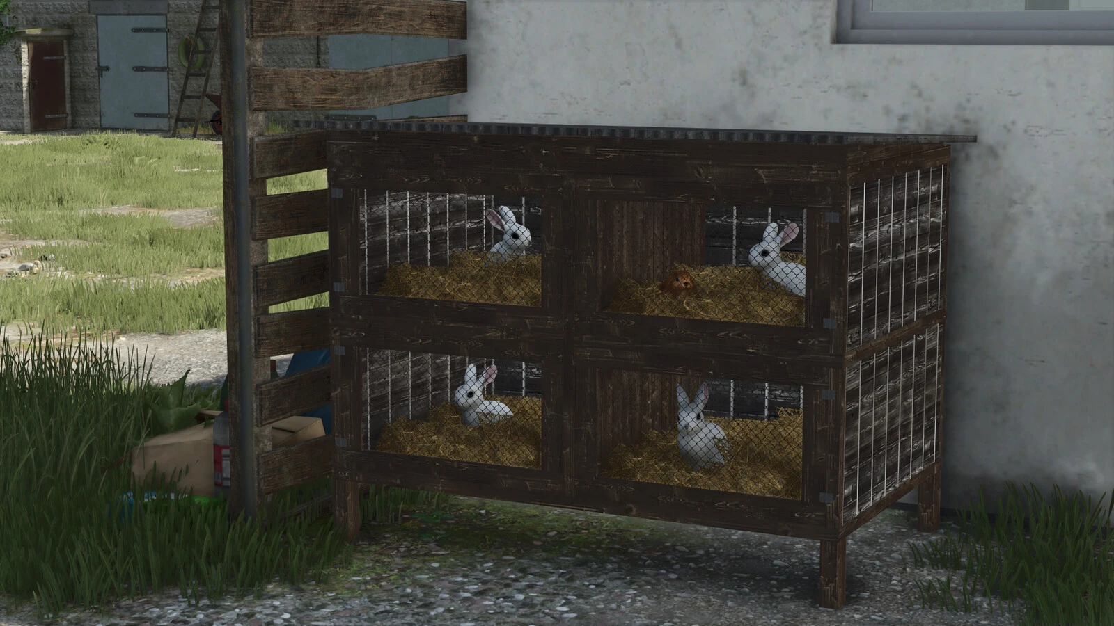 Rabbit Cages 1.0