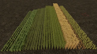 Row Seeding Barley, Oat, Wheat, Canola (Prefab*) 1.2.0