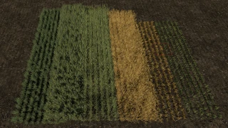Row Seeding Barley, Oat, Wheat, Canola (Prefab*) 1.2.0 thumbnail 2
