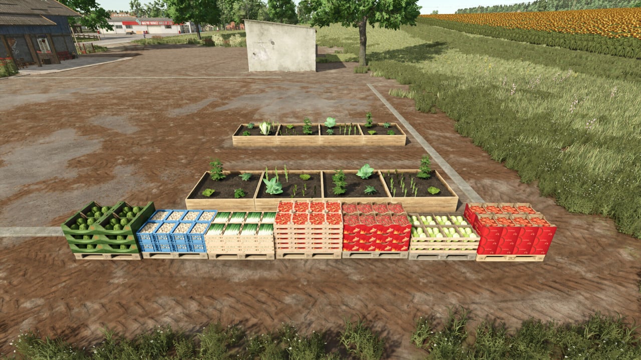 Small Greenhouse