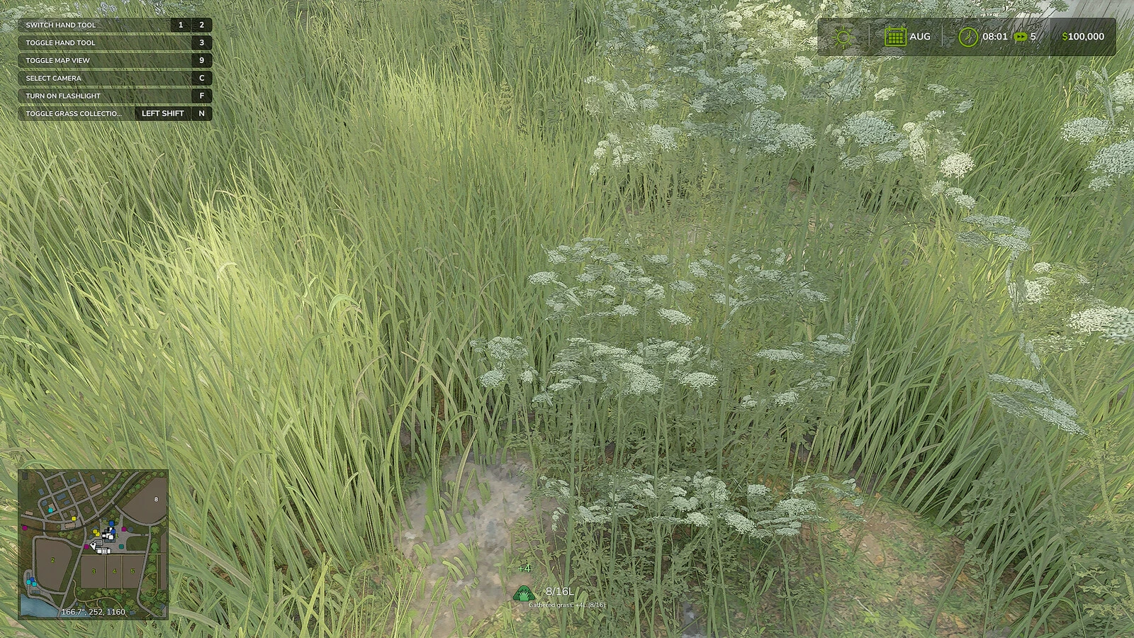 Grass Collection 1.0