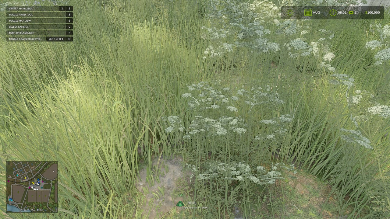 Grass Collection