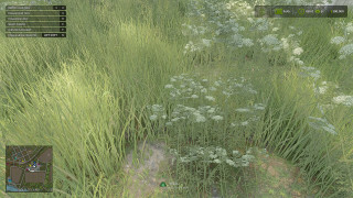 Mod Image