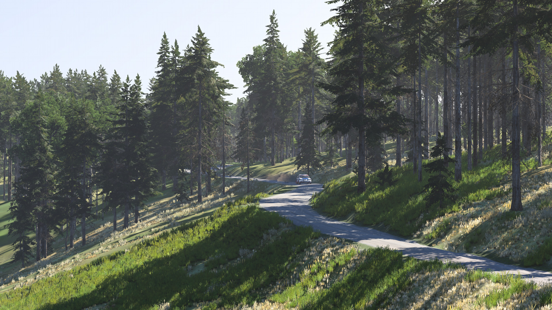 Cwmysgawen Rally Stage image 1