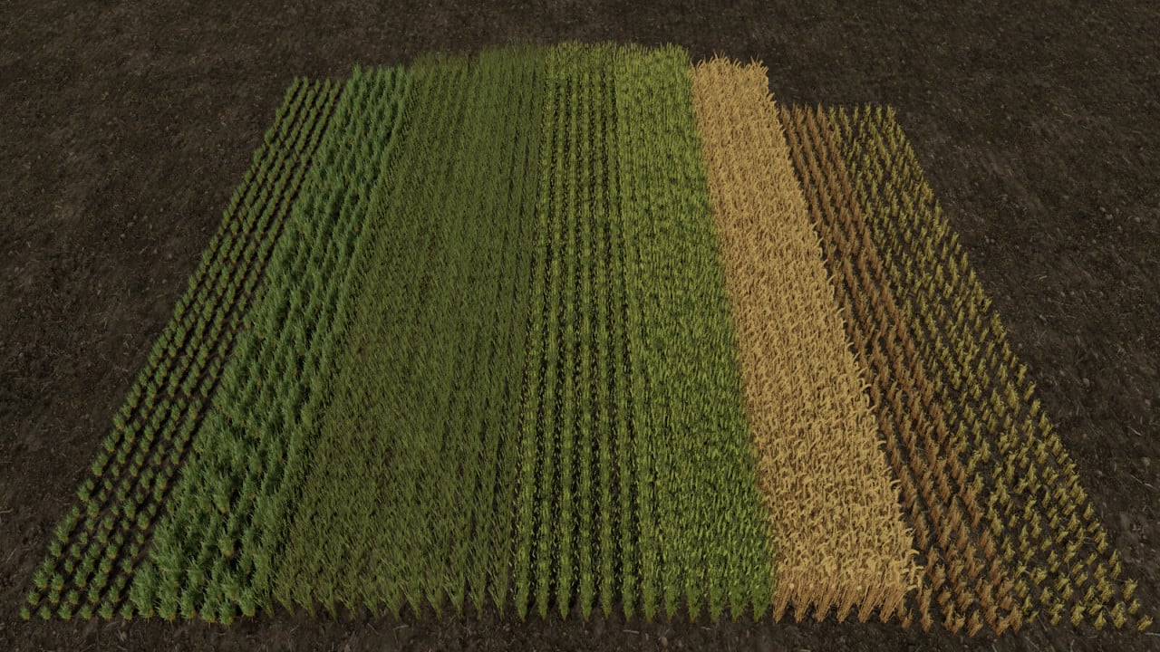 Row Seeding Barley, Oat, Wheat, Canola (Prefab*)