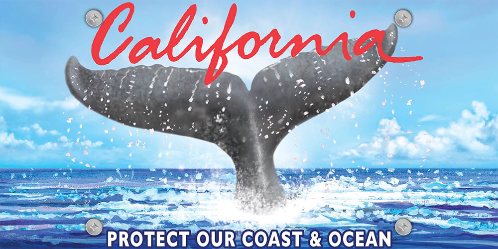 California plate pack