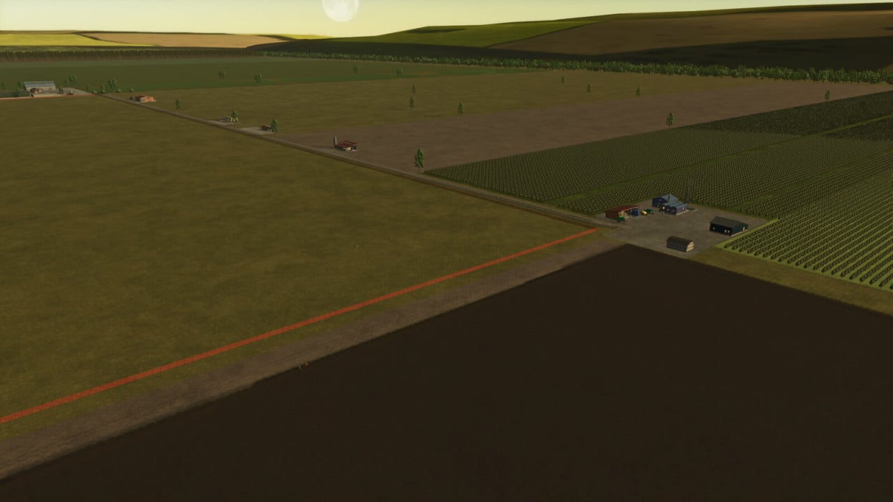 Cows Farm