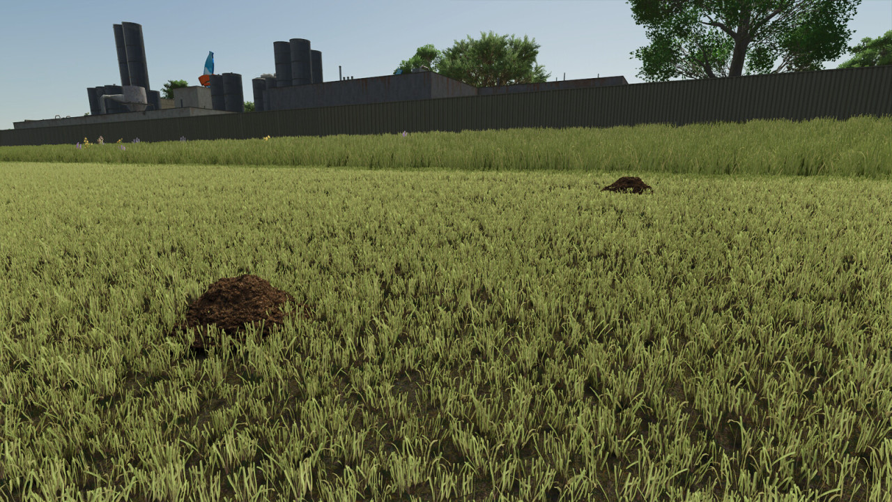 Dynamic Molehills