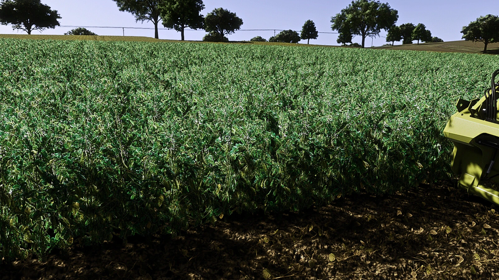 Faba Beans (Prefab*) 1.0