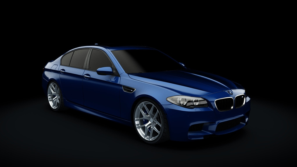 BMW M5 F10 Wayfs