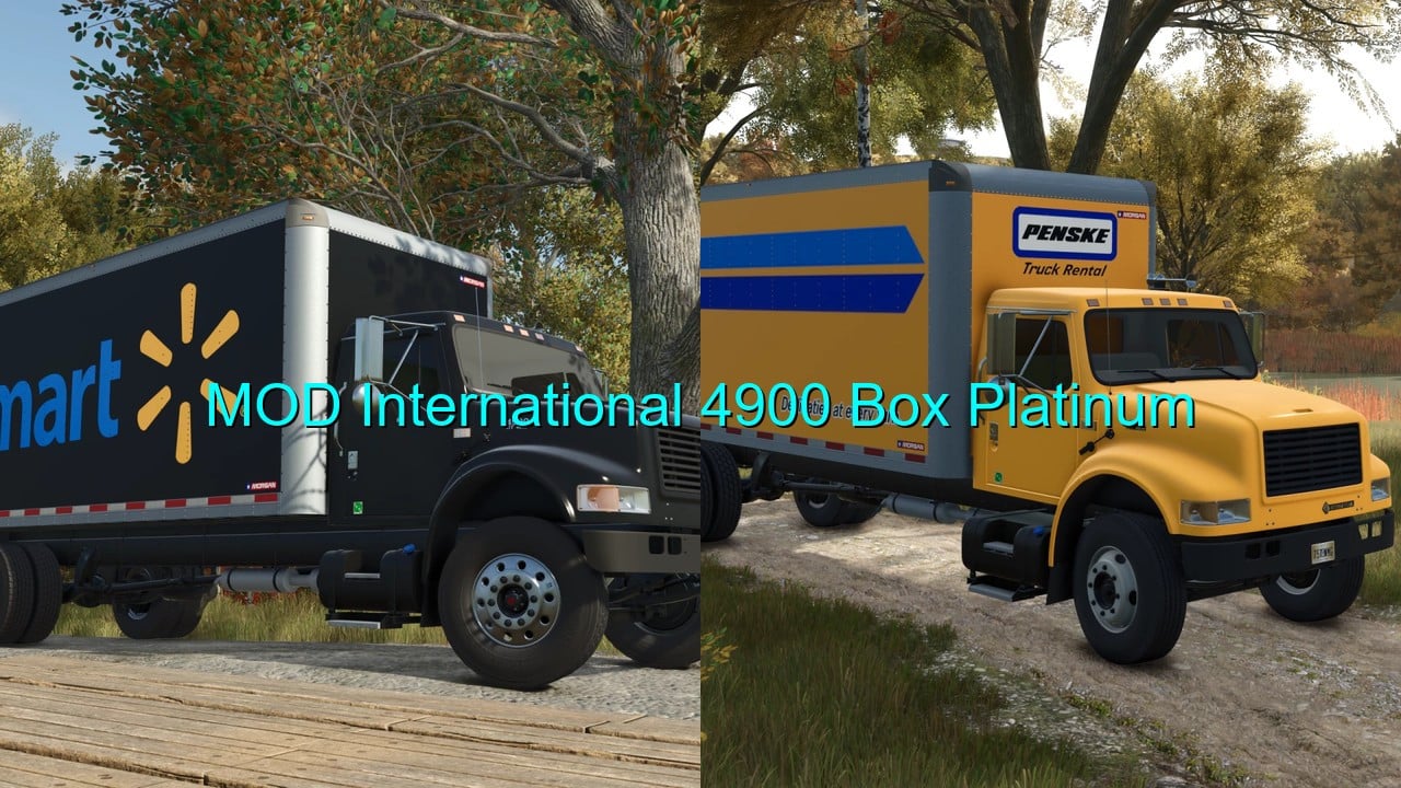MOD International 4900 Box Platinum