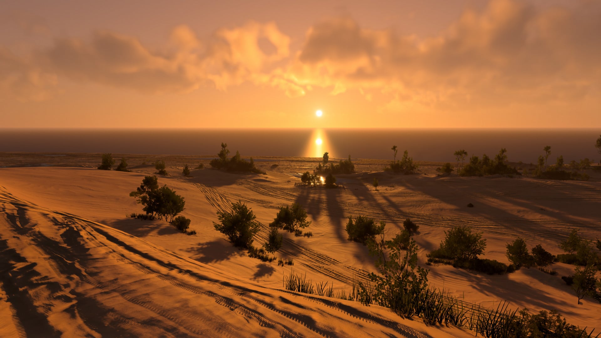 Silver Lake Michigan Dunes image 8