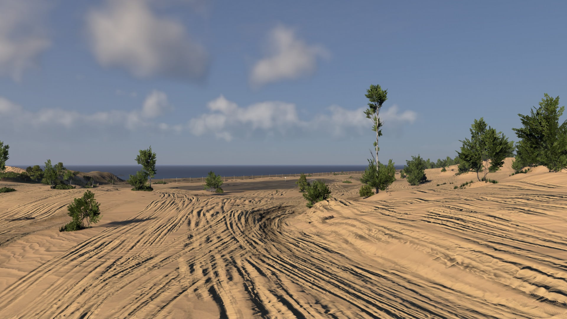 Silver Lake Michigan Dunes image 3