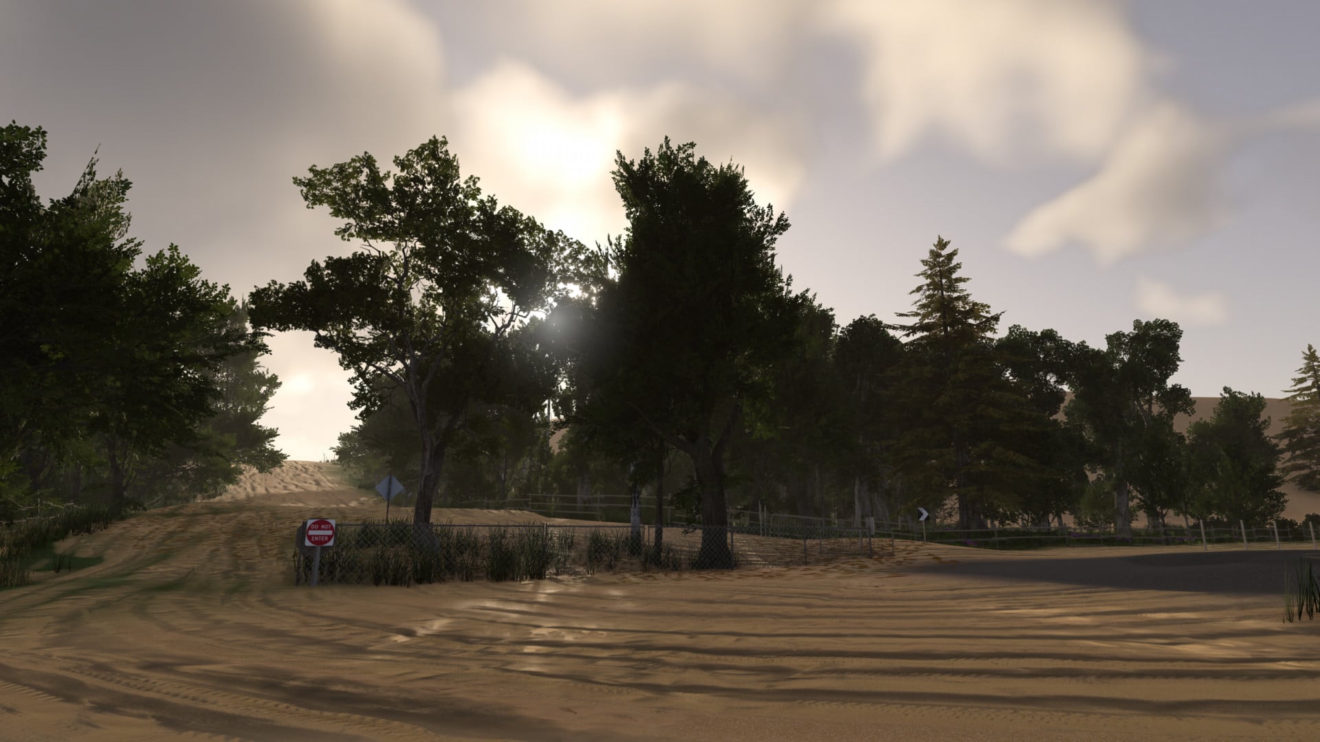 Silver Lake Michigan Dunes image 10