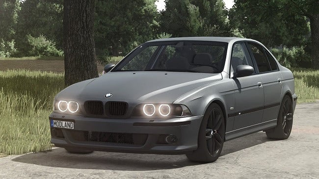 BMW E39 530D