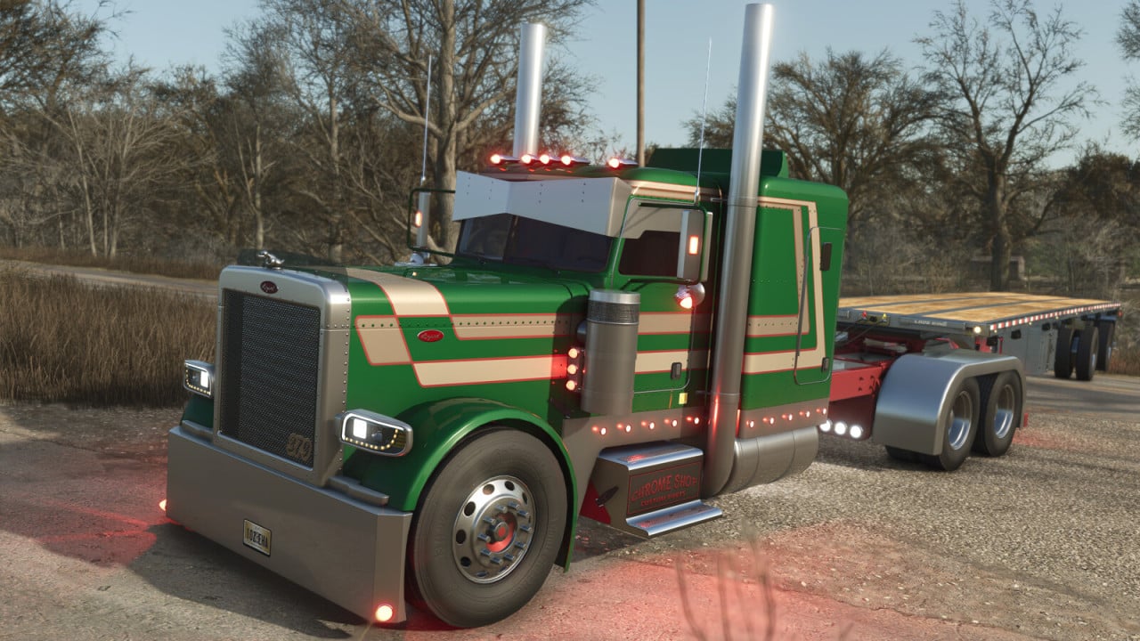 Lizard 379
