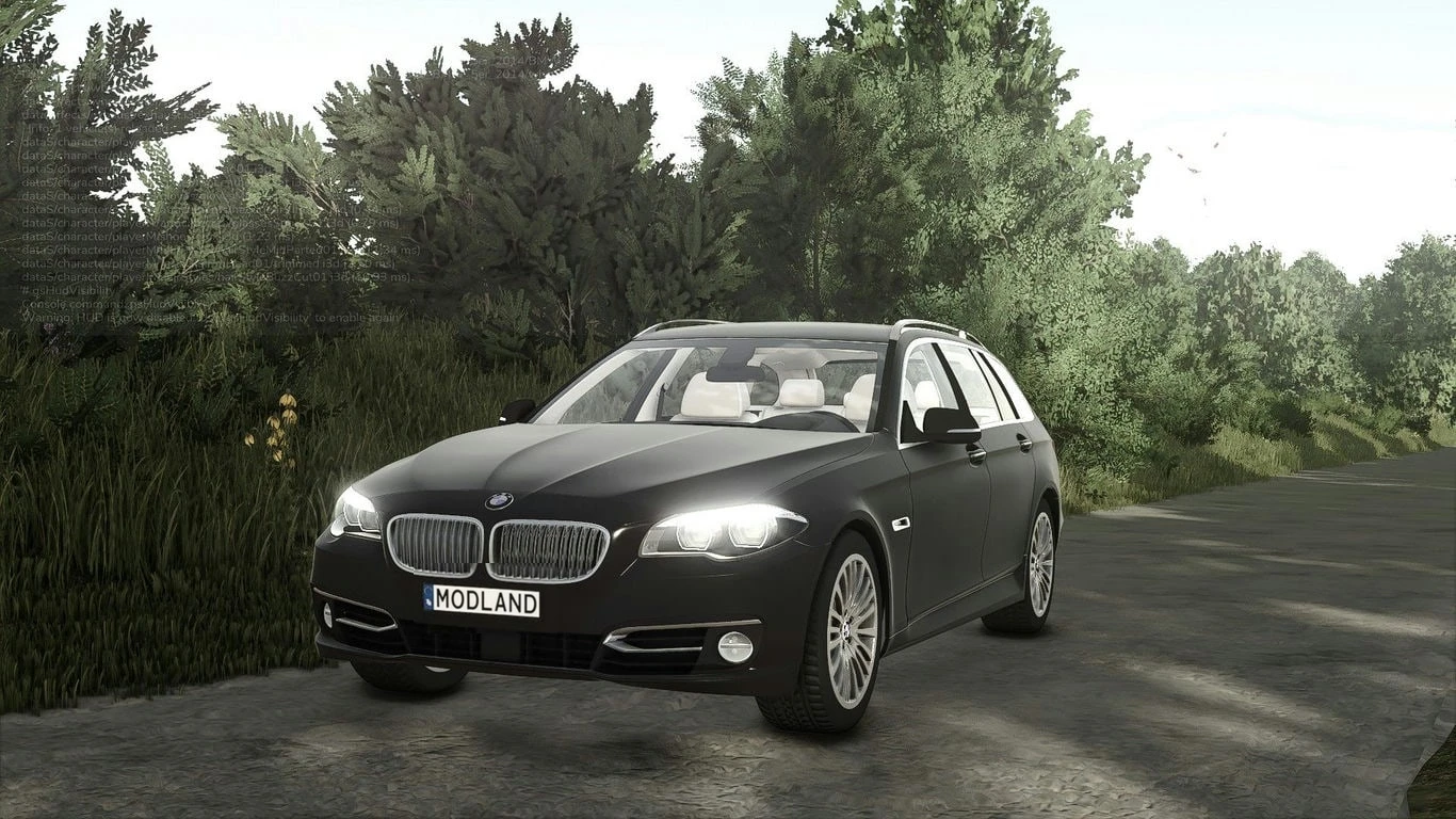 BMW F11 1.0.0.9
