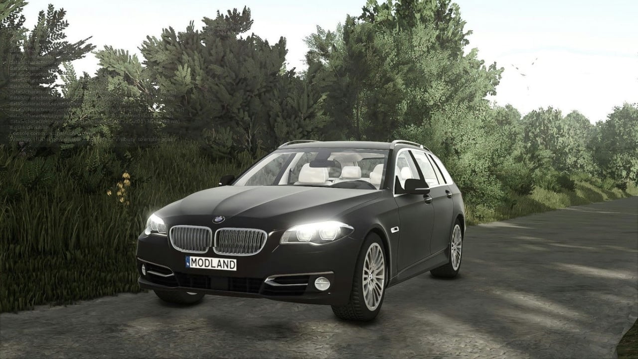 BMW F11
