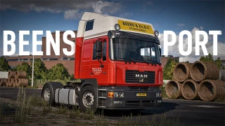 Beens Transport Skin MAN F2000 Evo 1.0 thumbnail 2